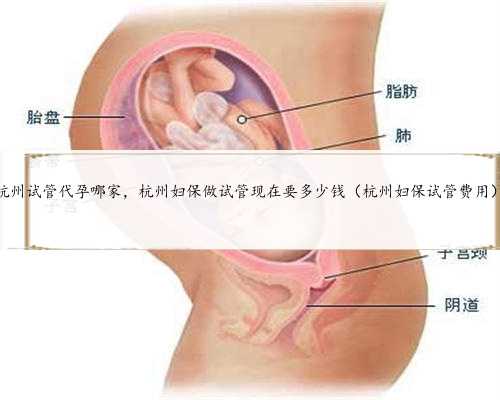 <b>杭州试管代孕哪家，杭州妇保做试管现在要多少钱（杭州妇保试管费用）</b>