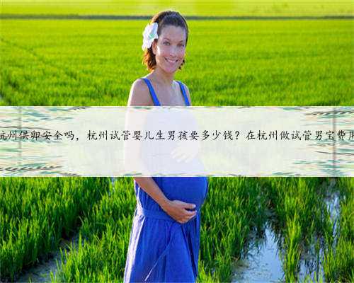 杭州供卵安全吗，杭州试管婴儿生男孩要多少钱？在杭州做试管男宝费用