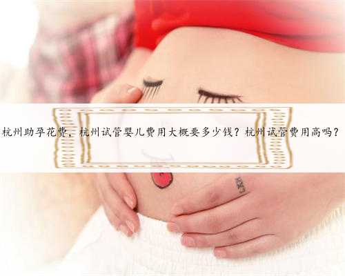 <b>杭州助孕花费，杭州试管婴儿费用大概要多少钱？杭州试管费用高吗？</b>