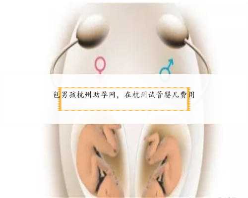 <b>包男孩杭州助孕网，在杭州试管婴儿费用</b>